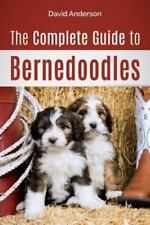 Complete guide bernedoodles for sale  Jessup