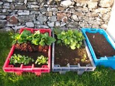 Planters garden upcycled for sale  TIVERTON