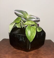 Glazed terracotta planter for sale  Athens