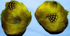 Plumes naturelles pintades d'occasion  Orleans-