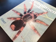 Vogelspinnen terrarium lebensw gebraucht kaufen  Marburg