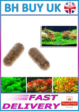 Aquarium plant root for sale  THORNTON-CLEVELEYS