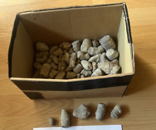 Konvolut fossilien brachiopode gebraucht kaufen  Dahlem