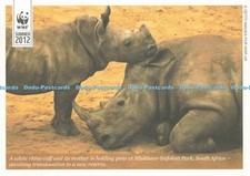 D239670 south africa for sale  WARLINGHAM