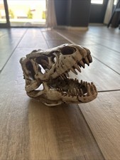Rex tyrannosaurus rex for sale  Sun City