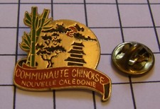 Pin communaute chinoise d'occasion  Saint-Nazaire