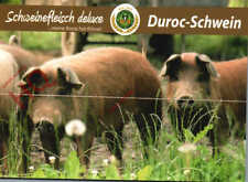 Picture postcard duroc for sale  NEWCASTLE UPON TYNE