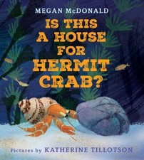 House hermit crab for sale  Denver