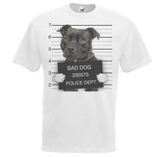 Maglietta unisex adulto usato  Spedire a Italy