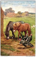 Themes horses two d'occasion  Expédié en Belgium