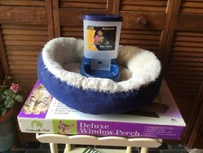 Cat kitty pet for sale  West Rutland