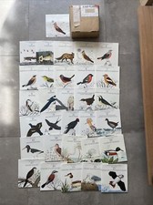 Guide sonore oiseaux d'occasion  Moutiers-les-Mauxfaits