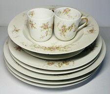 Theodore haviland antonette for sale  Merced