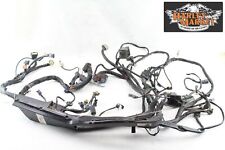 Impianto elettrico harley usato  Italia