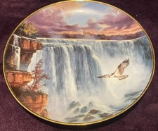 Cascading thunder plate for sale  Pearland