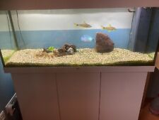 Juwel aquarium 240l gebraucht kaufen  Görlitz-Umland