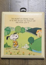 Hallmark vintage snoopy for sale  Milwaukee