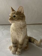 Cat kitten leonardo for sale  THETFORD
