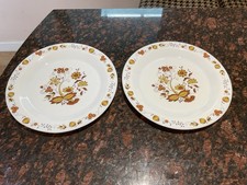 arcopal dinner plates for sale arcopal dinner plates for sale SCUNTHORPE