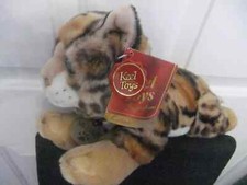 Keel shango bengal for sale  LEICESTER
