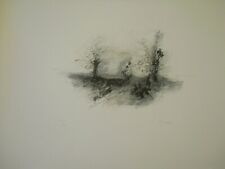 Ajmone giuseppe litografia usato  Vittuone