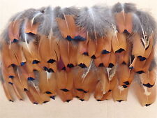 100 cock pheasant for sale  ALFORD