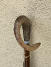 Curly rams horn for sale  ILKLEY