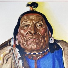 Blackfeet pecunnie indian for sale  Arlington
