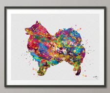 Keeshond dog watercolor for sale  HOUGHTON LE SPRING