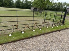 Fallow skulls number for sale  SOLIHULL