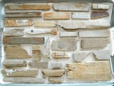 Driftwood pieces flat for sale  GRAVESEND