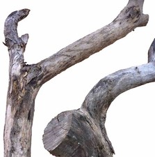 Legni radici per usato Legni radici per usato  San Giovanni in Croce