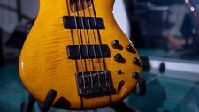 Ibanez 700 usato  Santa Marinella