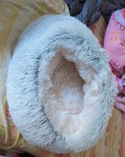 Blue igloo bed for sale  DUKINFIELD