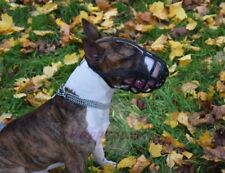 Focinho de couro para cachorro | Bull Terrier inglês e outros focinhos curtos | Forte, elegante comprar usado  Enviando para Brazil