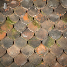 Red clay roof for sale  NORWICH