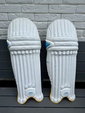 Newbery invictus left for sale  NEWTON ABBOT