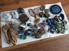 Collection rocks fossils for sale  TRIMDON STATION
