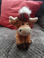 Small scottish highland for sale  NEWCASTLE UPON TYNE