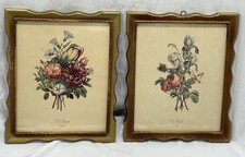 Vintage prevost botanical for sale  San Tan Valley
