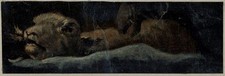 Study lion small for sale  UK