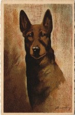 Cpa loup dogs d'occasion  Expédié en France