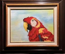 Red parrot original for sale  Evanston