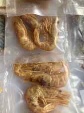 Sea fishing bait for sale  CAMBORNE