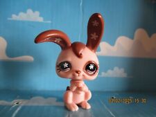 Petshop lapin garenne d'occasion  Bailleul