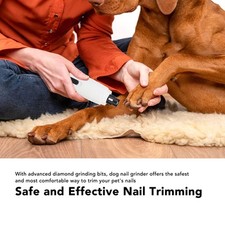Lime ongles chien d'occasion  Expédié en France