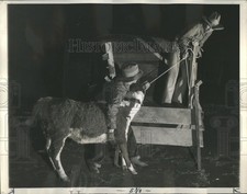 1937 press photo for sale  Memphis