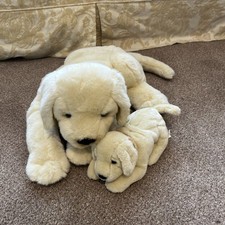 Andrex labrador puppy for sale  SOUTHEND-ON-SEA