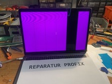 Reparatur macbook dustgate gebraucht kaufen  Düsternort
