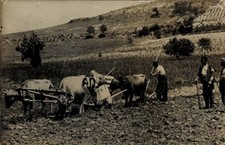 Foto landwirtschaft ackerarbei gebraucht kaufen  Berlin